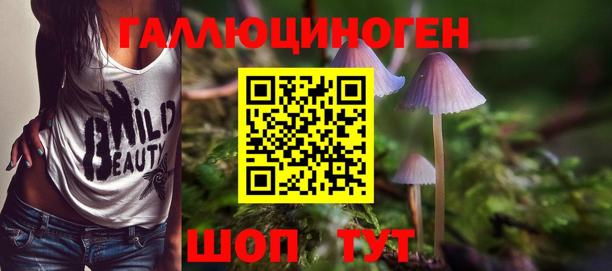 наркошоп  Галлюциногенные грибы Magic Shrooms  Вход с VPN  Подольск 