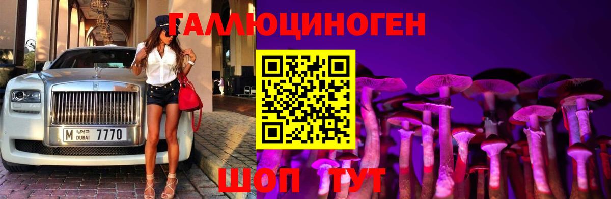 Галлюциногенные грибы Cubensis Подольск